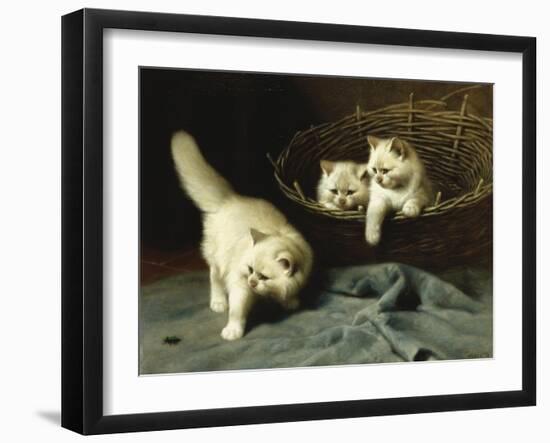 White Angora Kittens with a Beetle-Arthur Heyer-Framed Giclee Print