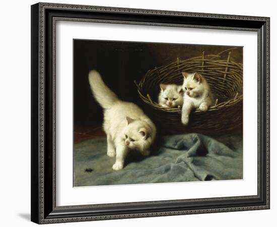 White Angora Kittens with a Beetle-Arthur Heyer-Framed Giclee Print