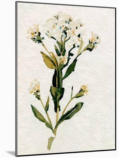 White Antique Wildflower II-Emma Caroline-Mounted Art Print