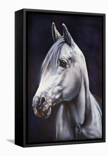 White Arabian Stallion-Jenny Newland-Framed Premier Image Canvas