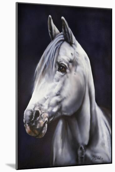 White Arabian Stallion-Jenny Newland-Mounted Giclee Print