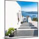 Premium Photographic Print