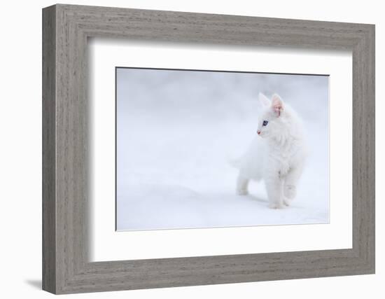 White as Snow-Esmée Prexus-Framed Photographic Print