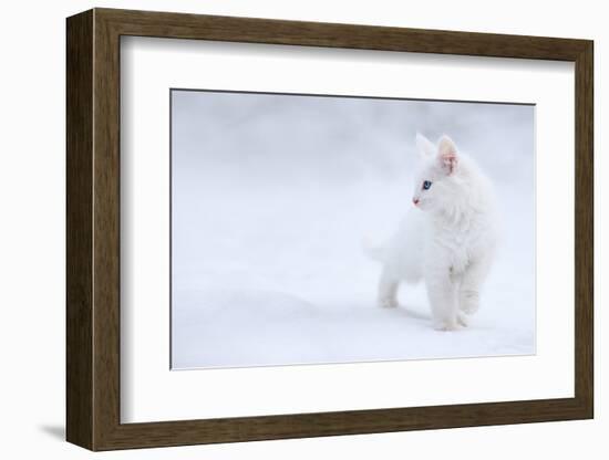 White as Snow-Esmée Prexus-Framed Photographic Print