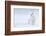 White as Snow-Esmée Prexus-Framed Photographic Print