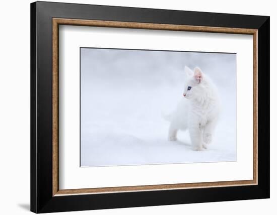 White as Snow-Esmée Prexus-Framed Photographic Print