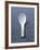 White Asian Soup Spoon-Jean Cazals-Framed Photographic Print