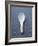 White Asian Soup Spoon-Jean Cazals-Framed Photographic Print