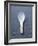 White Asian Soup Spoon-Jean Cazals-Framed Photographic Print