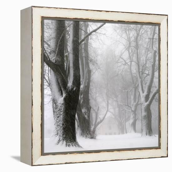 White Avenue-Franz Bogner-Framed Premier Image Canvas