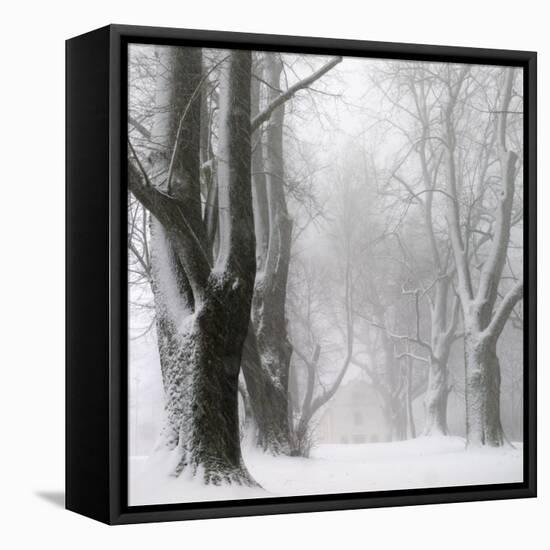 White Avenue-Franz Bogner-Framed Premier Image Canvas