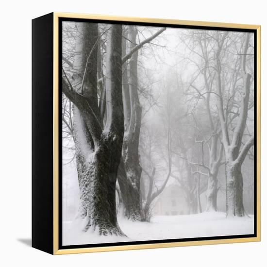 White Avenue-Franz Bogner-Framed Premier Image Canvas