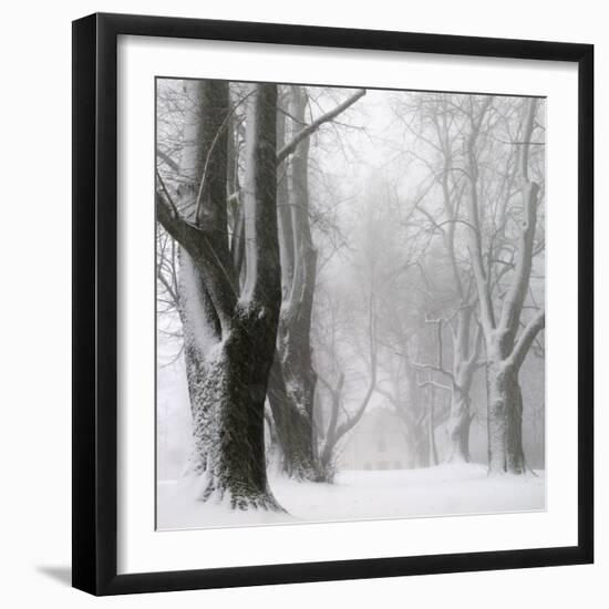 White Avenue-Franz Bogner-Framed Photographic Print