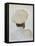 White Backview-Lincoln Seligman-Framed Premier Image Canvas