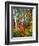 White Barks And Colorful Leaves, New Hampshire-George Oze-Framed Photographic Print