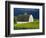 White Barn and Canola Field-Darrell Gulin-Framed Premium Photographic Print