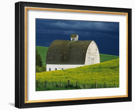 White Barn and Canola Field-Darrell Gulin-Framed Premium Photographic Print