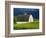 White Barn and Canola Field-Darrell Gulin-Framed Photographic Print