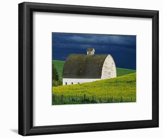 White Barn and Canola Field-Darrell Gulin-Framed Photographic Print