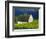 White Barn and Canola Field-Darrell Gulin-Framed Photographic Print