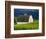 White Barn and Canola Field-Darrell Gulin-Framed Photographic Print