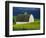 White Barn and Canola Field-Darrell Gulin-Framed Photographic Print