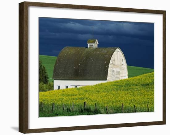 White Barn and Canola Field-Darrell Gulin-Framed Photographic Print