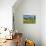 White Barn and Flag-Robert Goldwitz-Mounted Photographic Print displayed on a wall