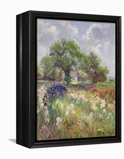 White Barn and Iris Field, 1992-Timothy Easton-Framed Premier Image Canvas