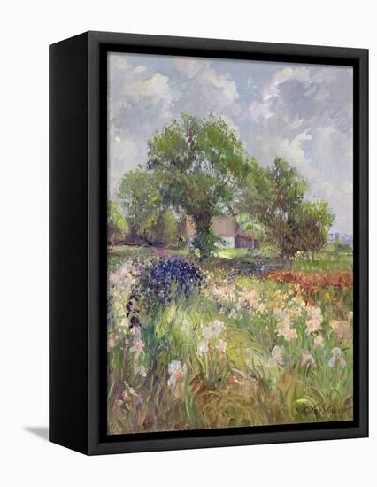 White Barn and Iris Field, 1992-Timothy Easton-Framed Premier Image Canvas