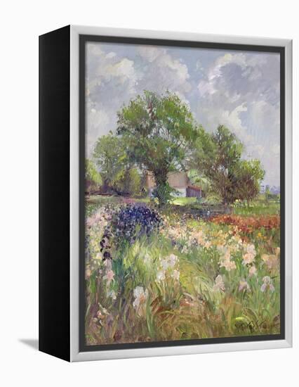 White Barn and Iris Field, 1992-Timothy Easton-Framed Premier Image Canvas