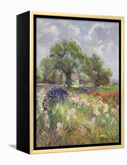 White Barn and Iris Field, 1992-Timothy Easton-Framed Premier Image Canvas