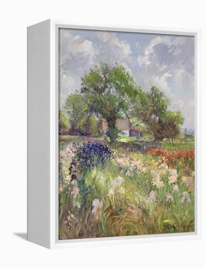 White Barn and Iris Field, 1992-Timothy Easton-Framed Premier Image Canvas