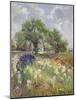 White Barn and Iris Field, 1992-Timothy Easton-Mounted Giclee Print