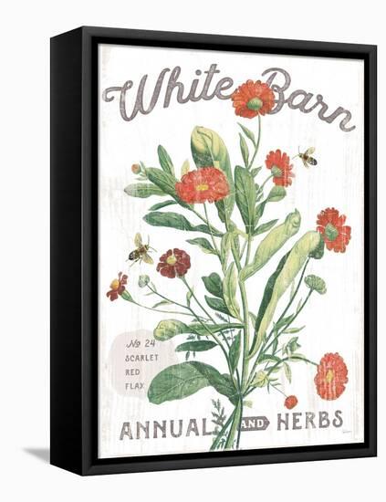White Barn Flowers IV-Sue Schlabach-Framed Stretched Canvas