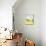 White Barn on Citron I-Jennifer Goldberger-Mounted Art Print displayed on a wall