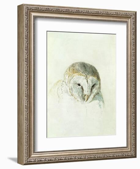 White Barn Owl, from the Farnley Book of Birds, C.1816-J. M. W. Turner-Framed Giclee Print