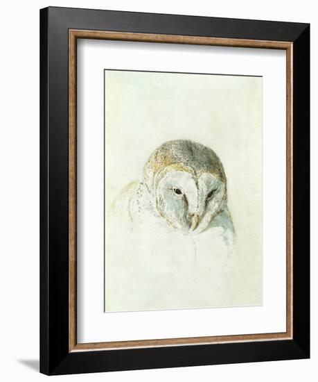 White Barn Owl, from the Farnley Book of Birds, C.1816-J. M. W. Turner-Framed Giclee Print