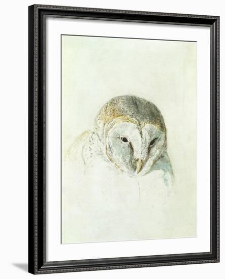 White Barn Owl, from the Farnley Book of Birds, C.1816-J. M. W. Turner-Framed Giclee Print