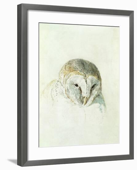 White Barn Owl, from the Farnley Book of Birds, C.1816-J. M. W. Turner-Framed Giclee Print