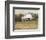 White Barn View I-Tim O'toole-Framed Art Print