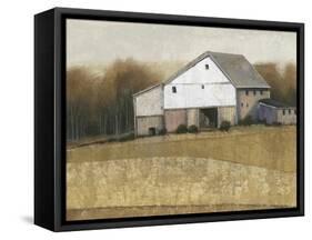 White Barn View I-Tim O'toole-Framed Stretched Canvas