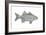 White Bass (Roccus Chrysops), Fishes-Encyclopaedia Britannica-Framed Art Print