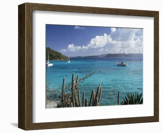 White Bay, Jost Van Dyke Island, British Virgin Islands, West Indies, Central America-Ken Gillham-Framed Photographic Print