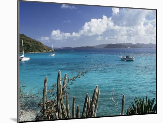 White Bay, Jost Van Dyke Island, British Virgin Islands, West Indies, Central America-Ken Gillham-Mounted Photographic Print