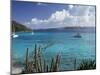 White Bay, Jost Van Dyke Island, British Virgin Islands, West Indies, Central America-Ken Gillham-Mounted Photographic Print