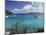 White Bay, Jost Van Dyke Island, British Virgin Islands, West Indies, Central America-Ken Gillham-Mounted Photographic Print