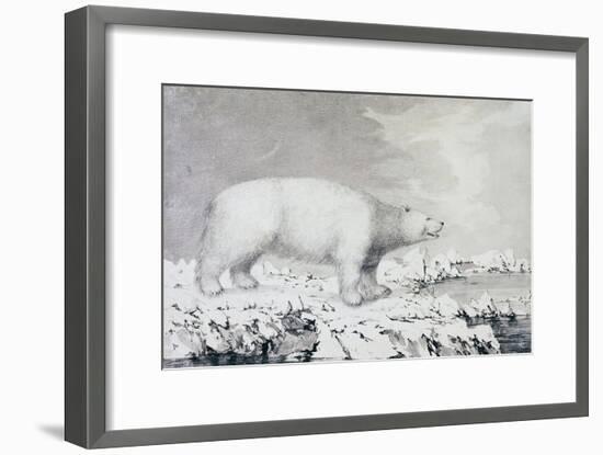 White Bear-null-Framed Giclee Print