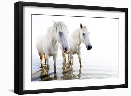 White Beauty-Valda Bailey-Framed Photographic Print