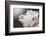 White Beauty-Philippe Sainte-Laudy-Framed Photographic Print